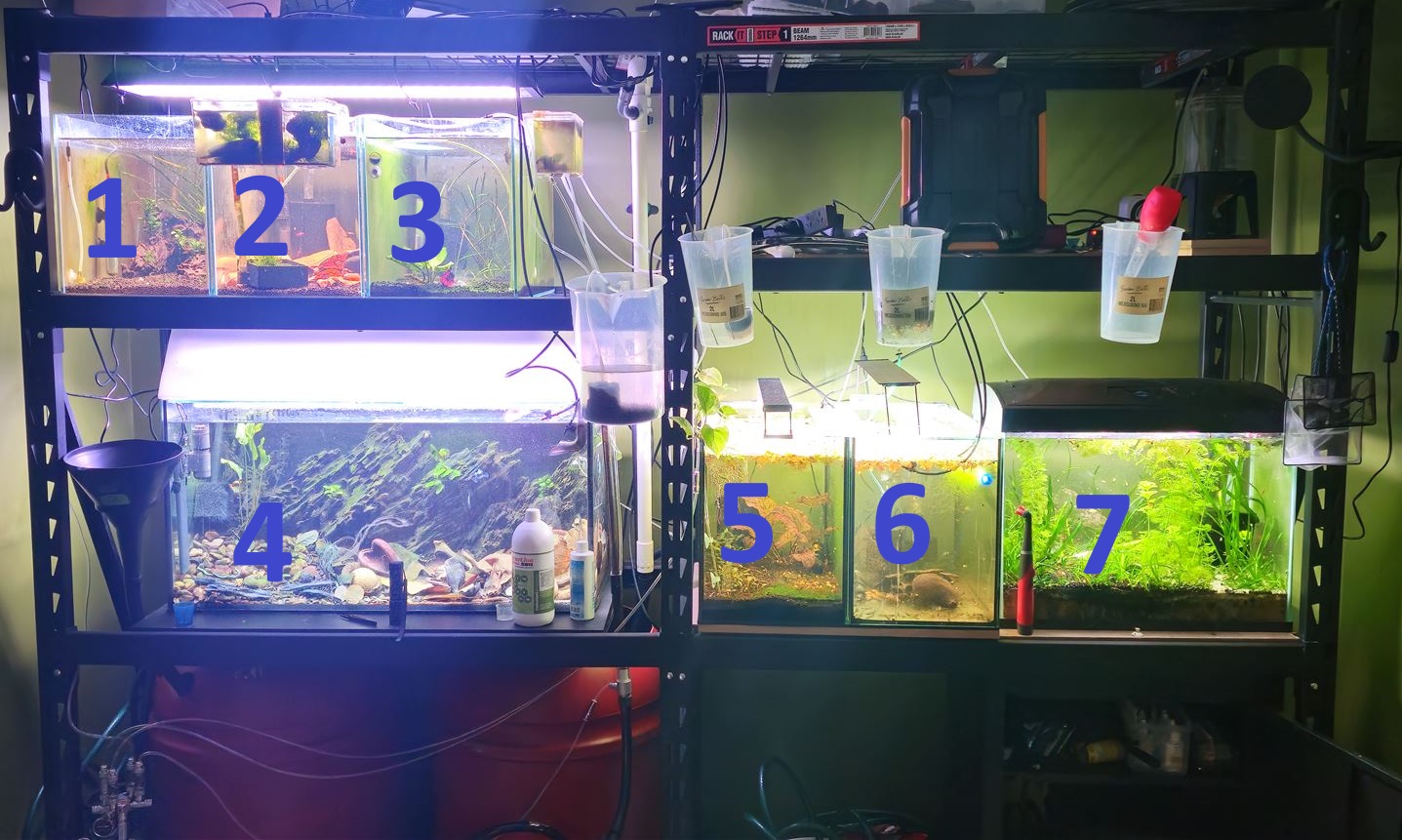The tank rack